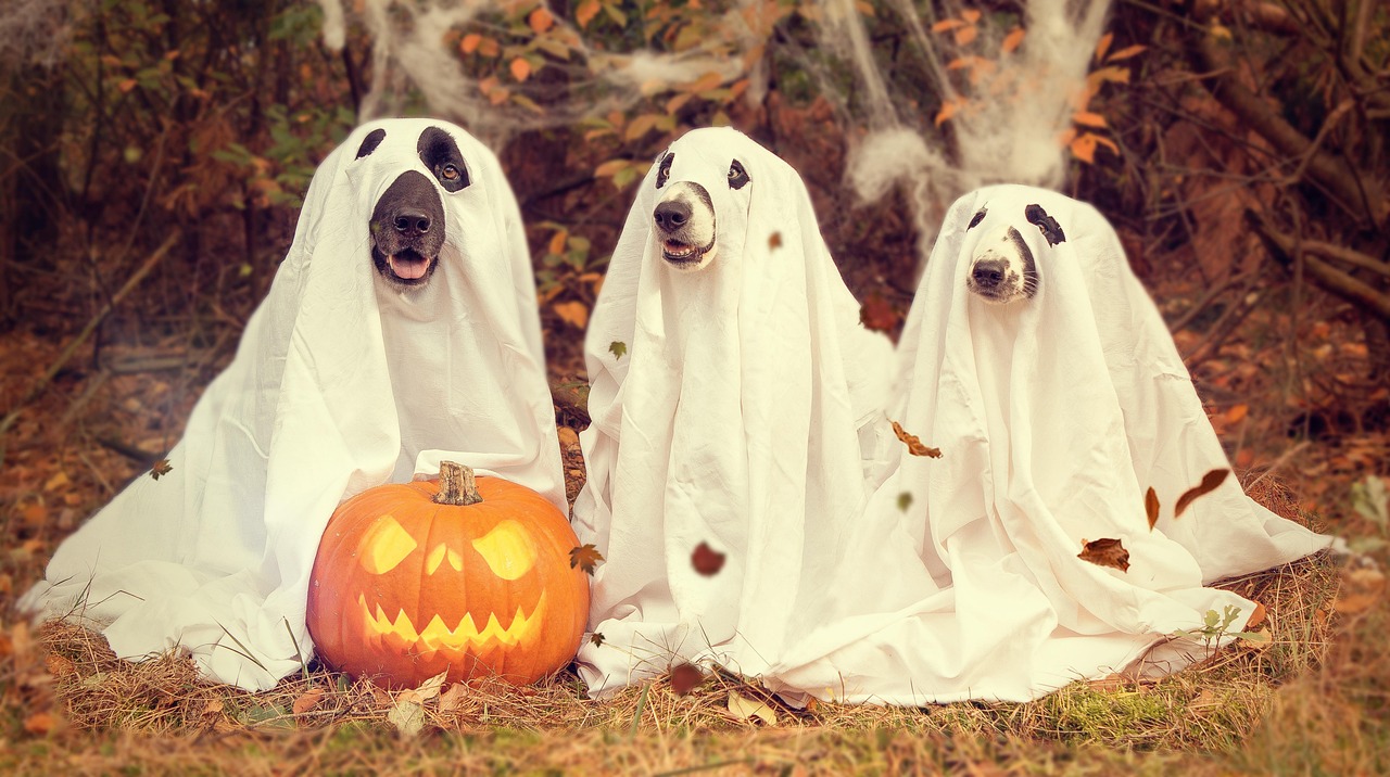 1. Classic Halloween Movies for Kids