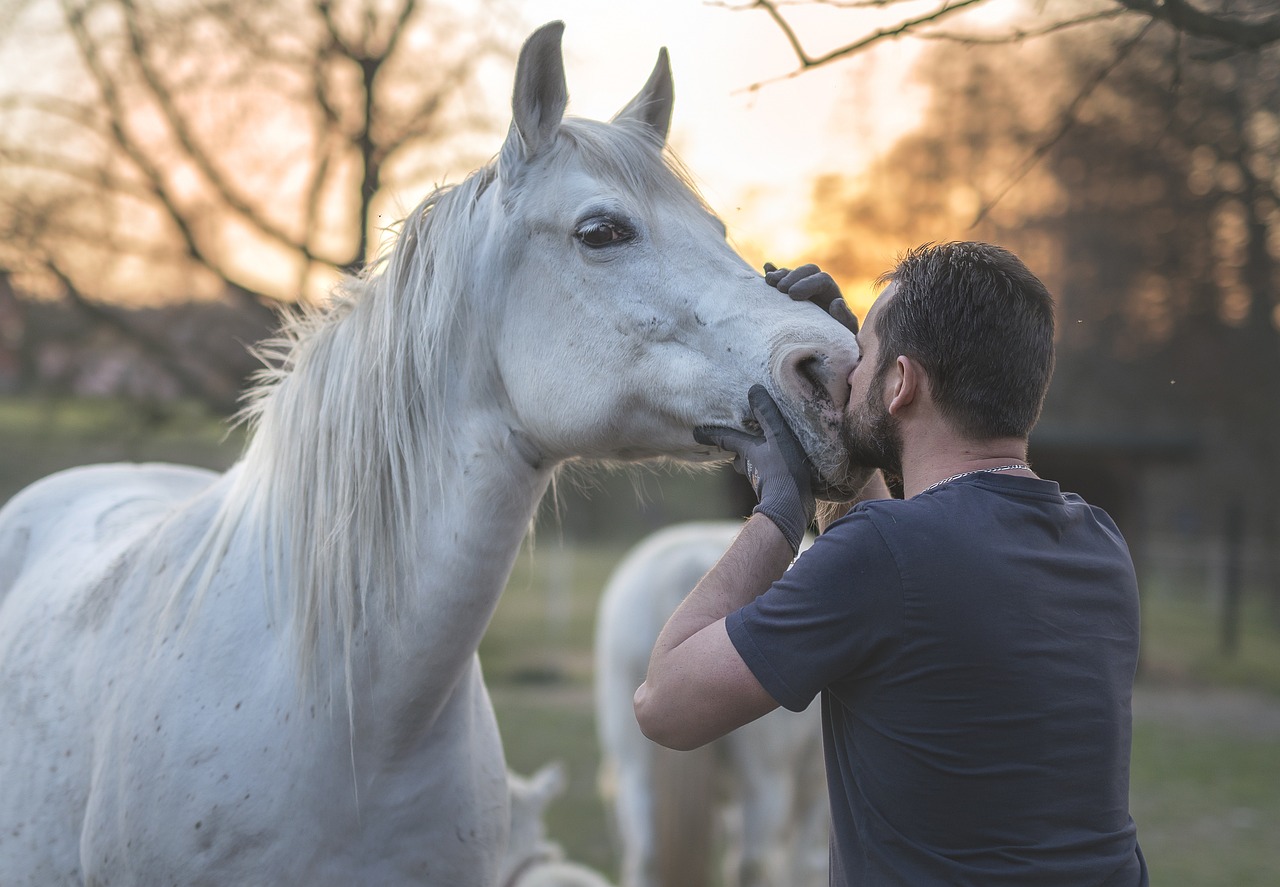 10. The Future of Horse Movies for Kids