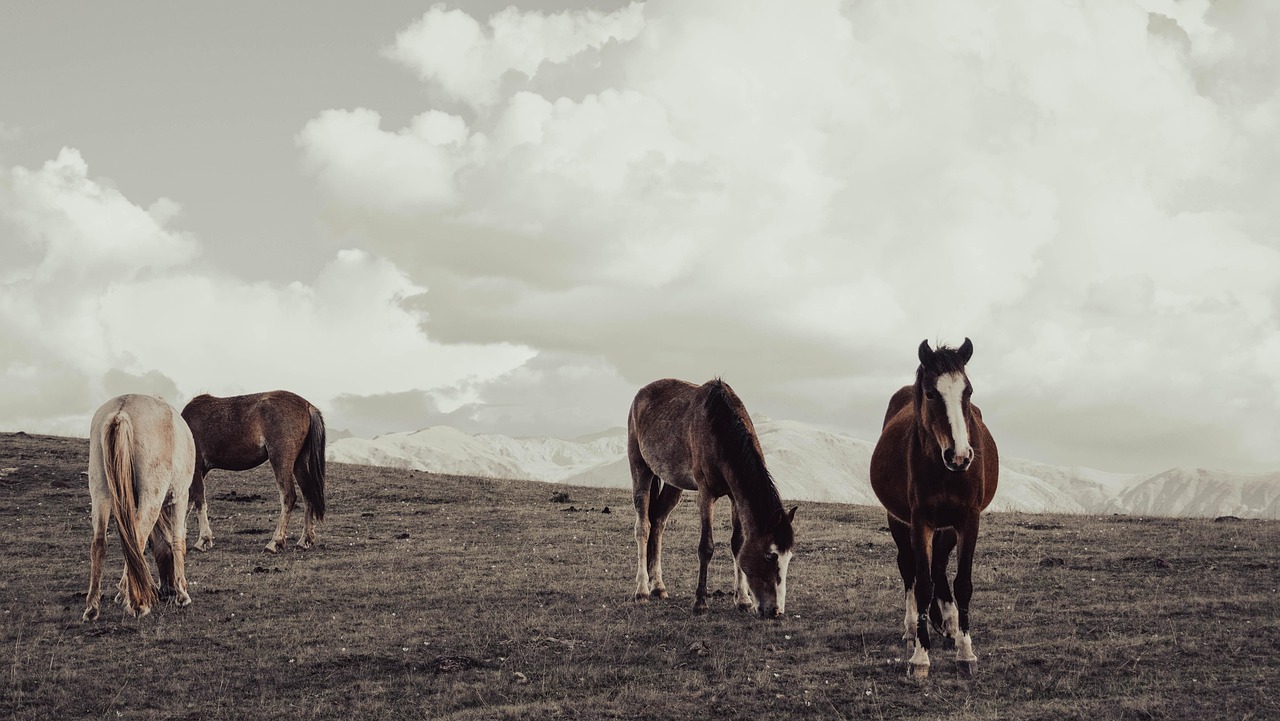 4. The Role of Horses in Children's Development