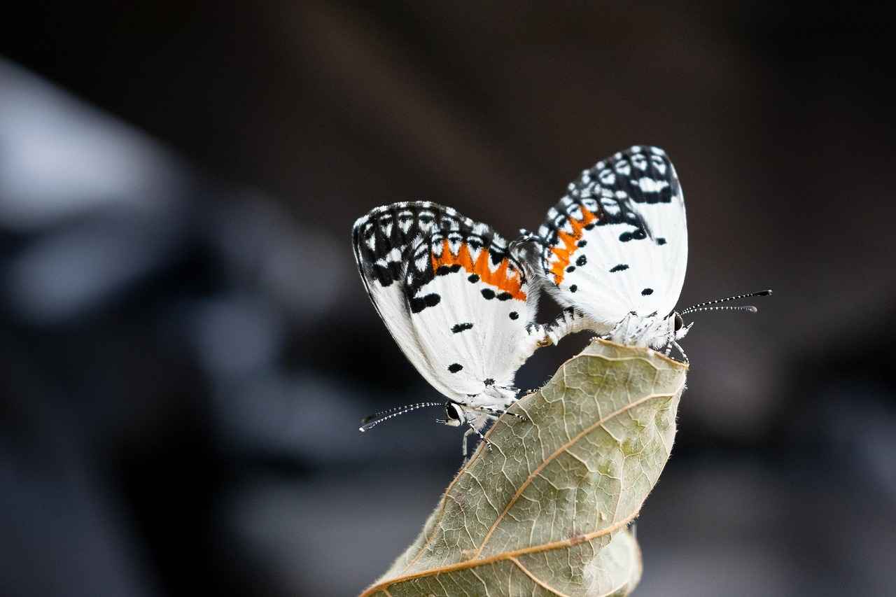 Marvel Movies for Kids: Epic Superhero Adventures for the Whole Family 3 Understanding Marvel's Age Ratings