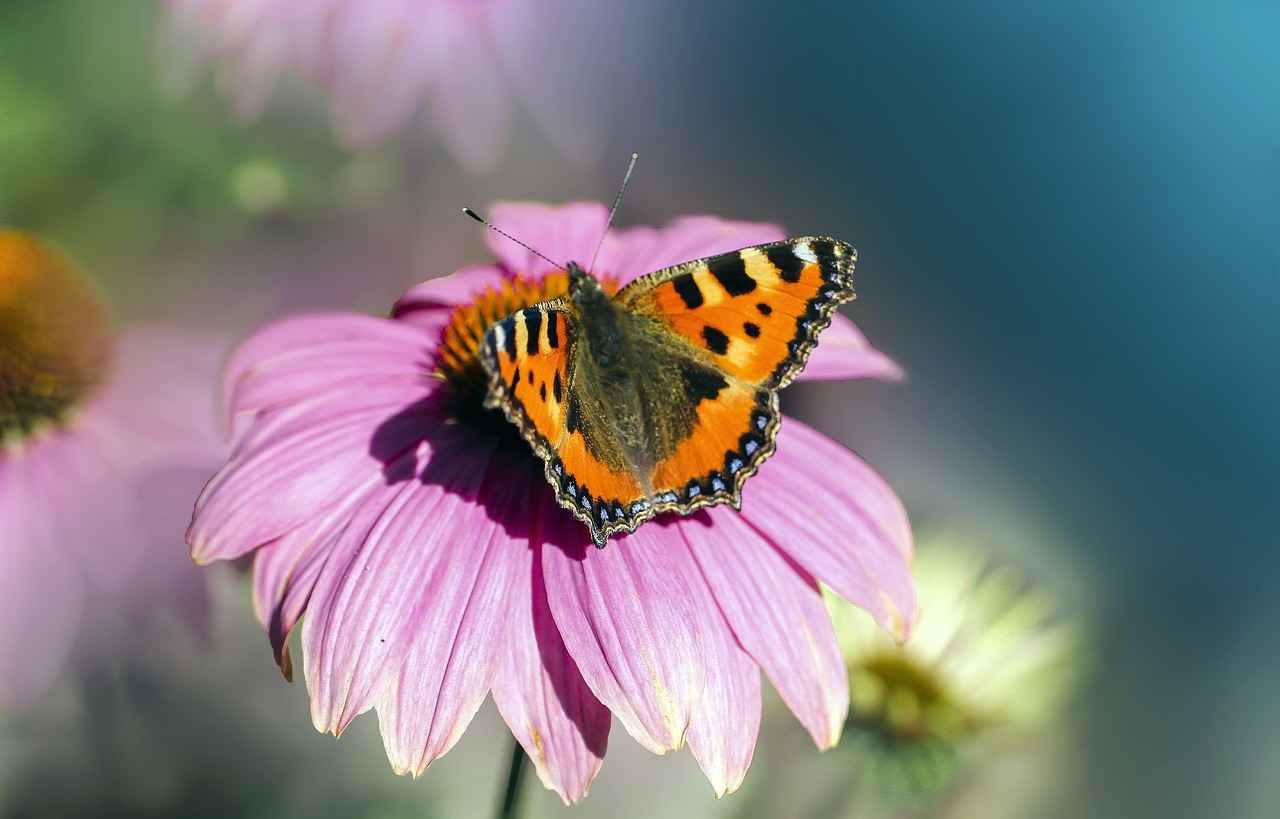 Mermaid Movies for Kids: Under-the-Sea Adventures for Young Dreamers 2 2. Top Mermaid Movies for Kids