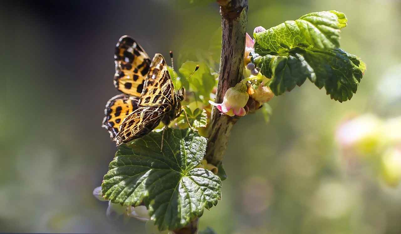 Mermaid Movies for Kids: Under-the-Sea Adventures for Young Dreamers 4 Mermaid Movies and Imagination