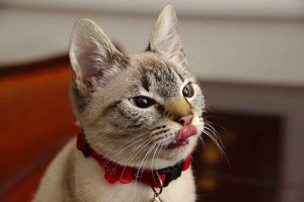 Movie Picks for Kids: Top Films You Need to See 2 2. Animated Classics That Stand the Test of Time