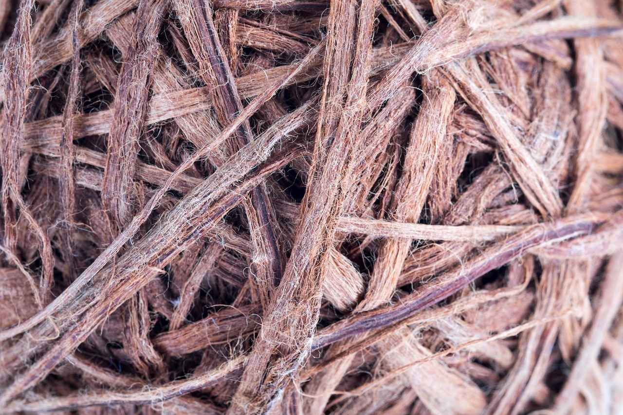 Mystery Movies for Kids: Whodunnit Adventures for Young Minds 5 The Educational Benefits of Watching Mystery Movies