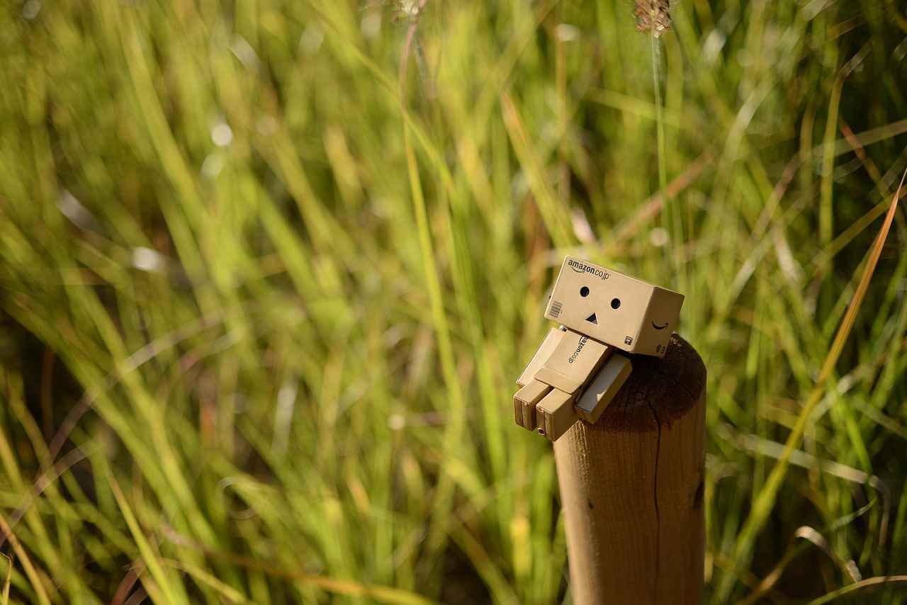 1. Anticipated Animated Films