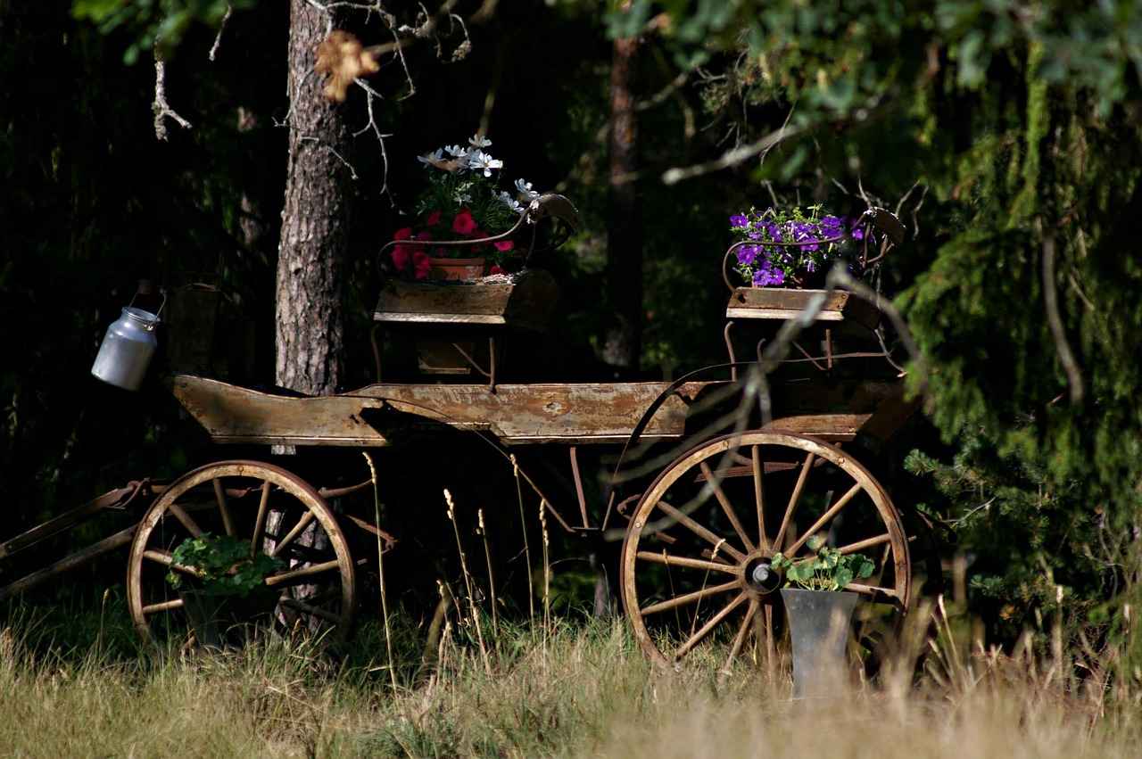 Conclusion: The Timeless Joy of Classic Films