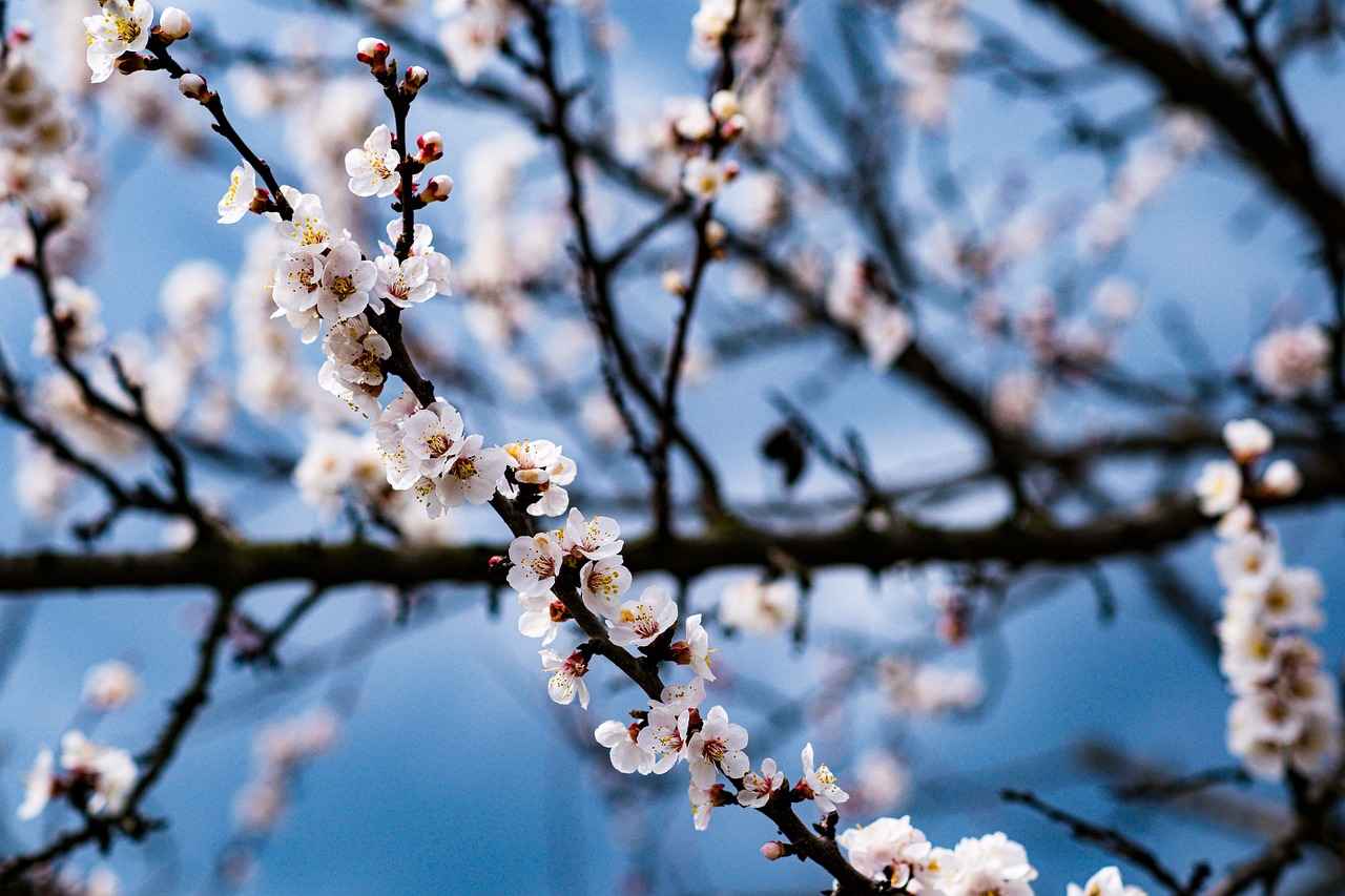 1. Why Spring Movies are Perfect for Kids