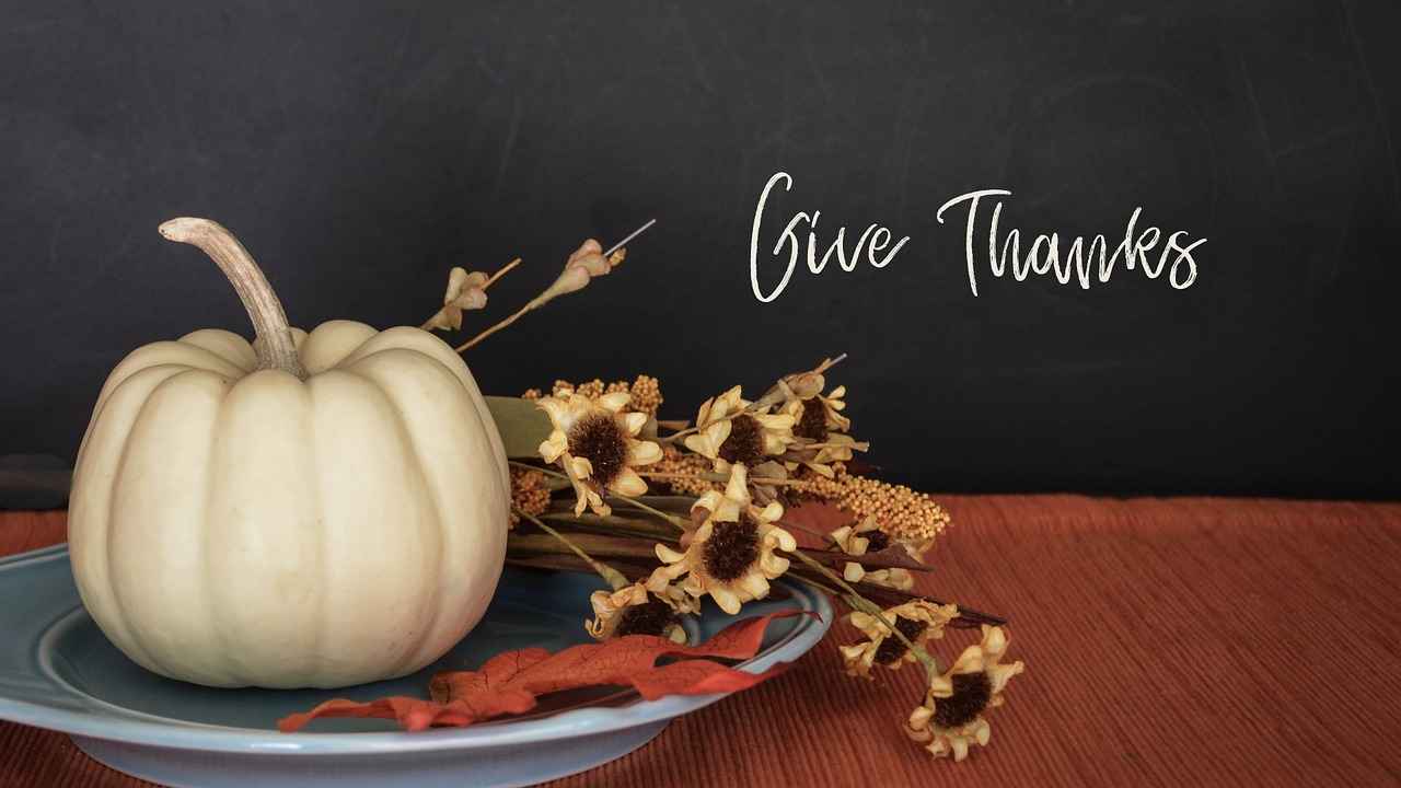 How to Choose the Right Thanksgiving Movie
