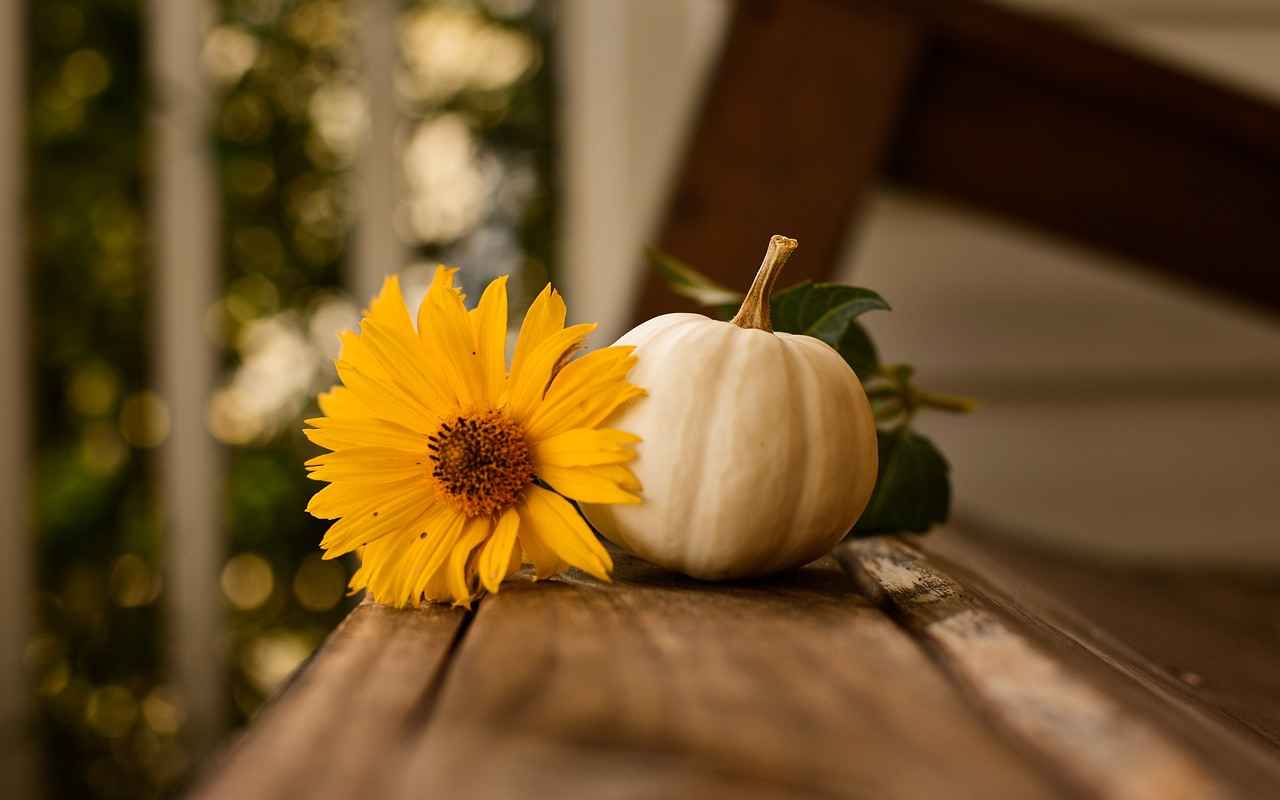 Conclusion: Making Memories with Thanksgiving Movies