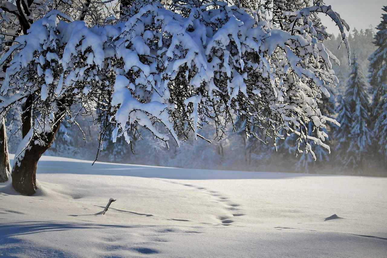 11. Conclusion: Embrace the Winter Movie Magic